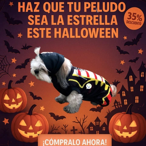Disfraces para mascotas | Tu mascota a la moda para Halloween