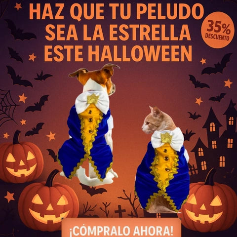 Disfraces para mascotas | Tu mascota a la moda para Halloween