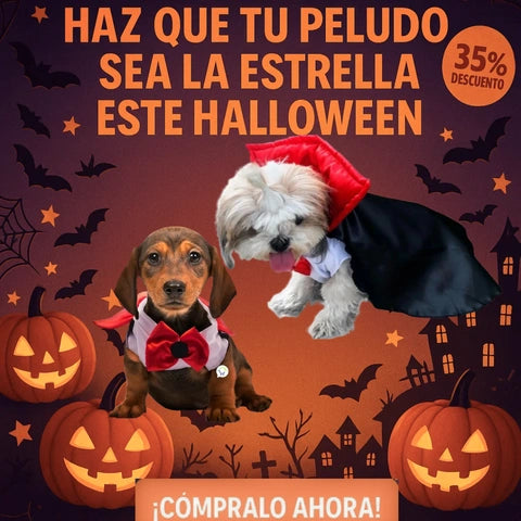 Disfraces para mascotas | Tu mascota a la moda para Halloween