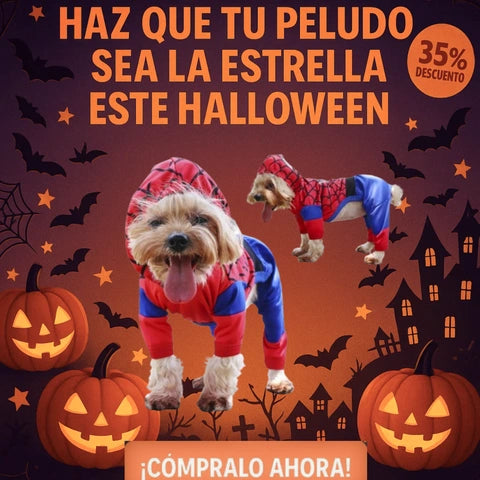 Disfraces para mascotas | Tu mascota a la moda para Halloween