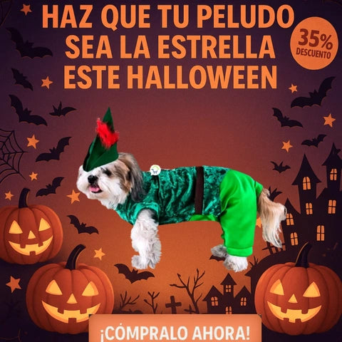 Disfraces para mascotas | Tu mascota a la moda para Halloween