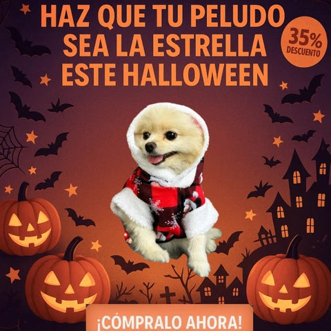 Disfraces para mascotas | Tu mascota a la moda para Halloween