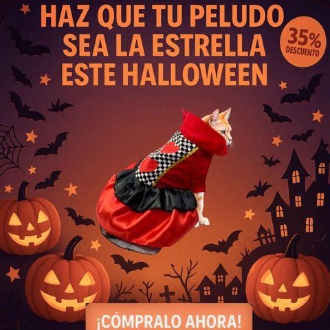 Disfraces para mascotas | Tu mascota a la moda para Halloween