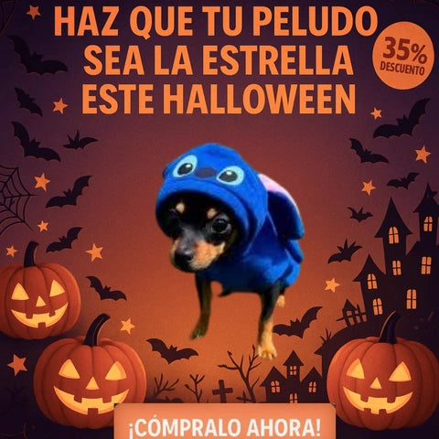 Disfraces para mascotas | Tu mascota a la moda para Halloween