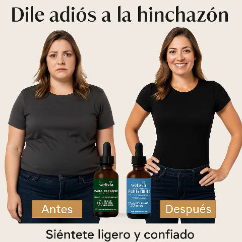 Encabezado