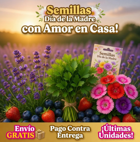 Semillas