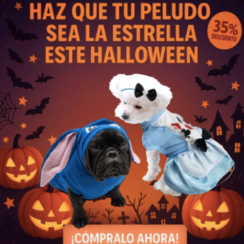 Disfraces para mascotas | Tu mascota a la moda para Halloween